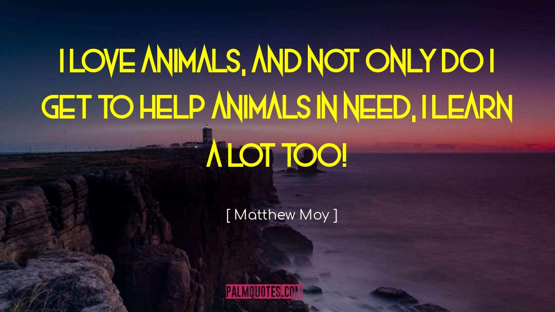 Matthew Moy Quotes: I love animals, and not