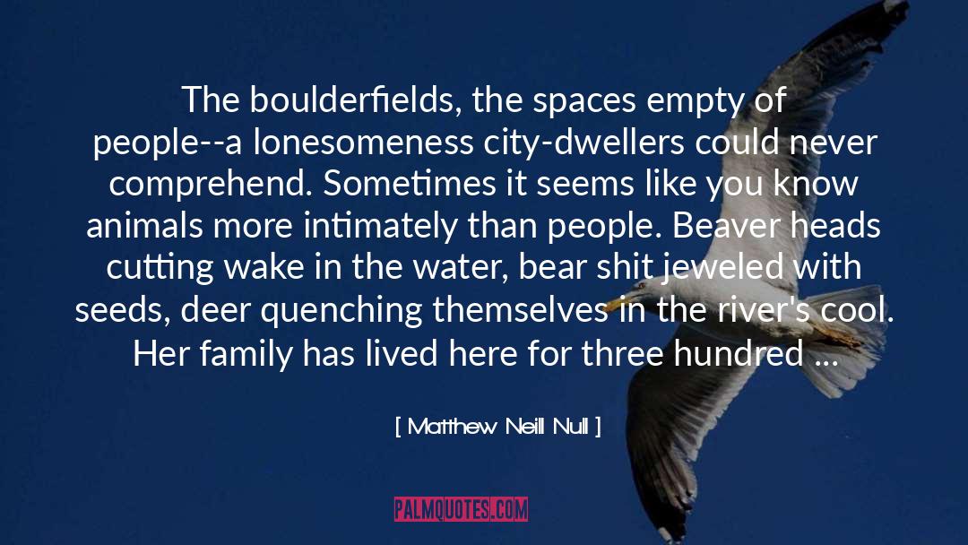Matthew Neill Null Quotes: The boulderfields, the spaces empty