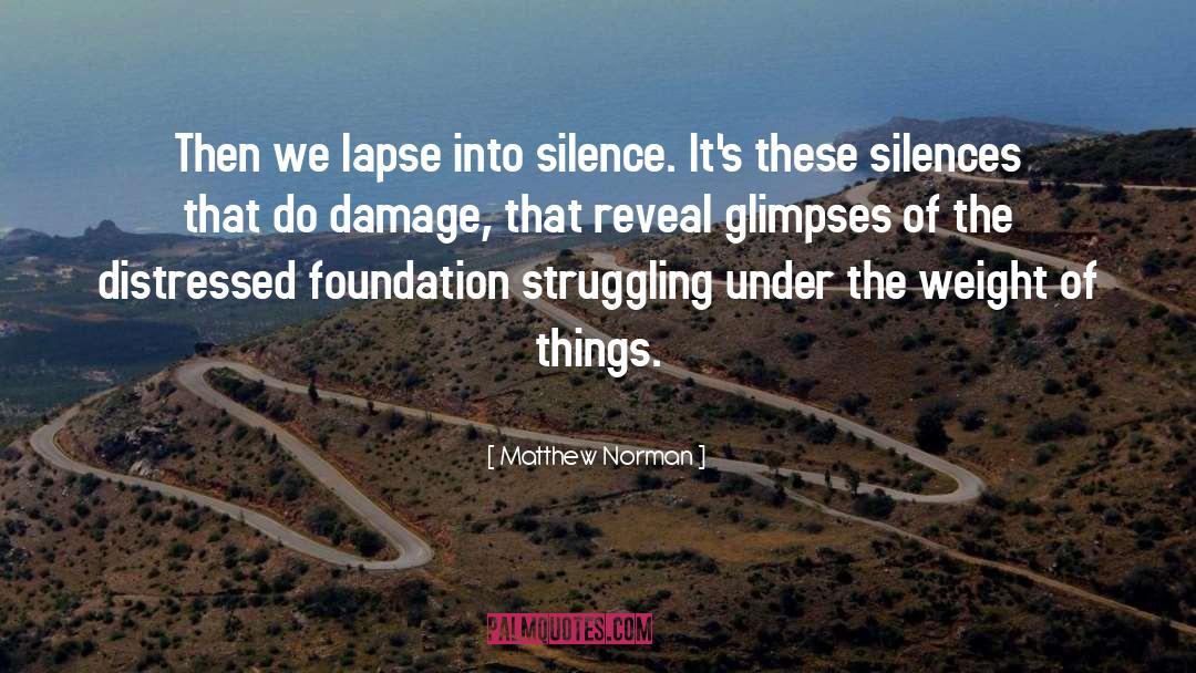 Matthew Norman Quotes: Then we lapse into silence.