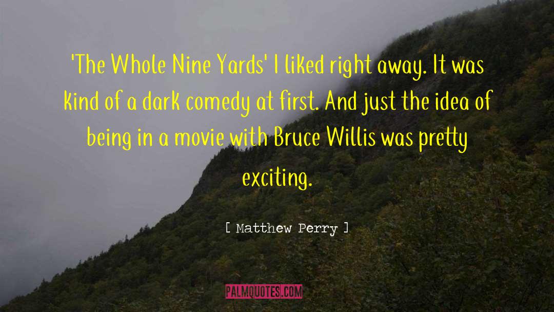 Matthew Perry Quotes: 'The Whole Nine Yards' I