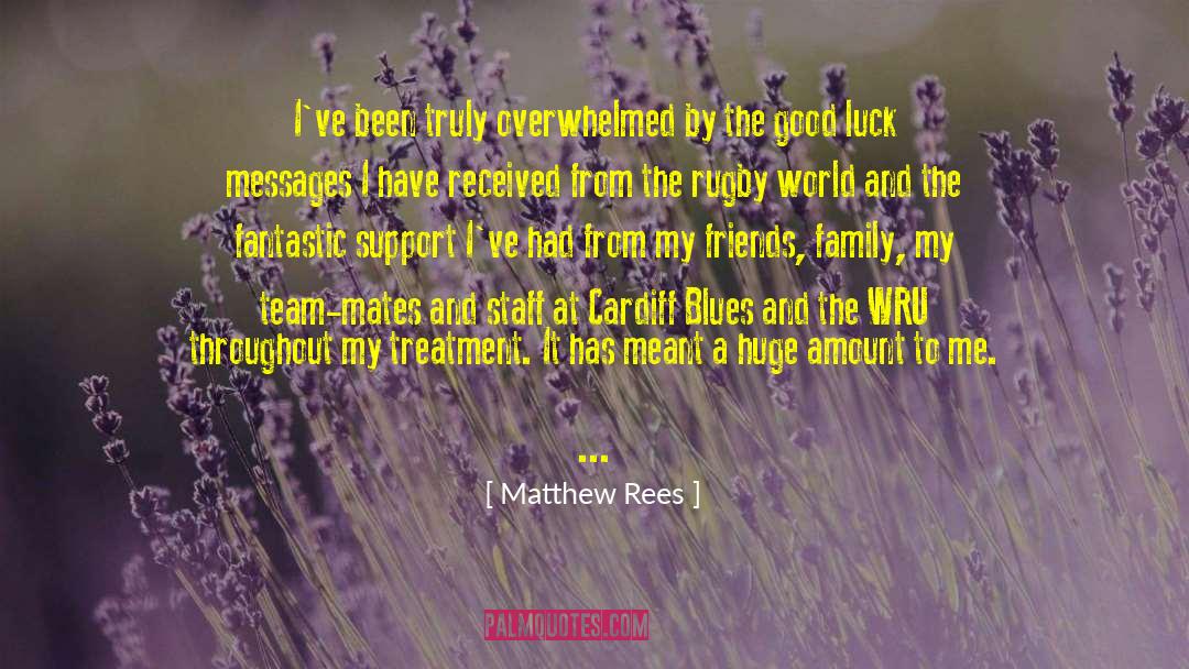 Matthew Rees Quotes: I've been truly overwhelmed by