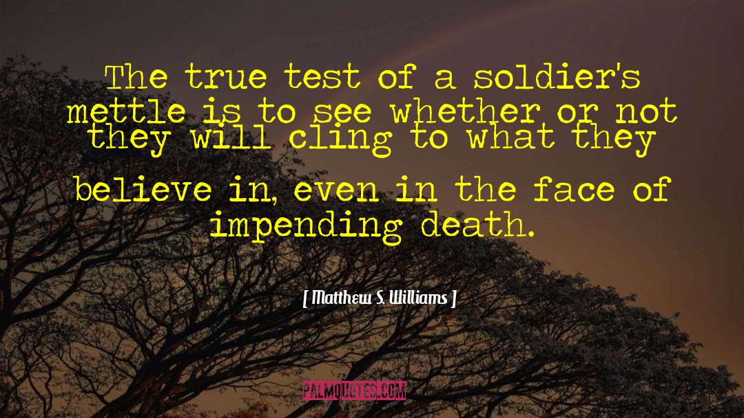 Matthew S. Williams Quotes: The true test of a