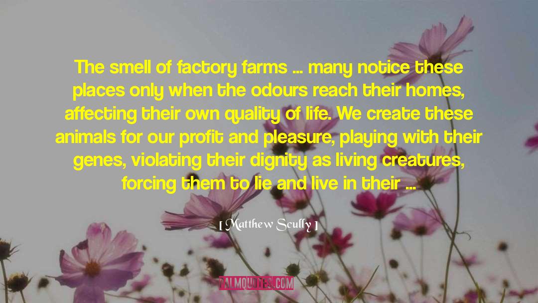 Matthew Scully Quotes: The smell of factory farms