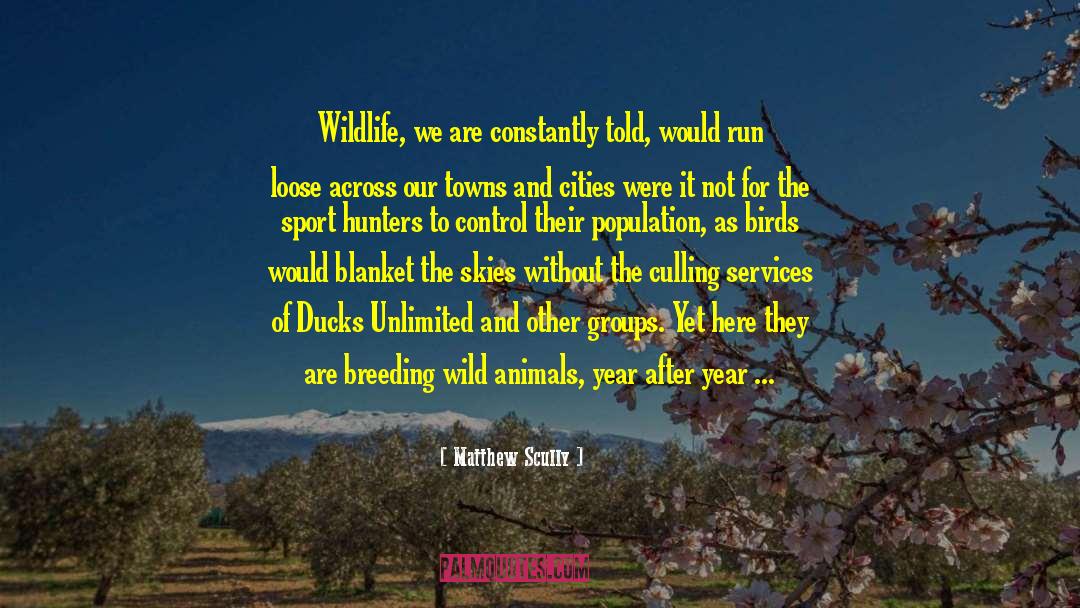 Matthew Scully Quotes: Wildlife, we are constantly told,