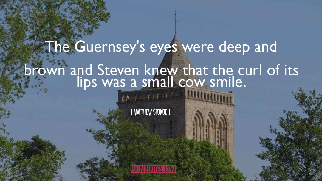 Matthew Stokoe Quotes: The Guernsey's eyes were deep