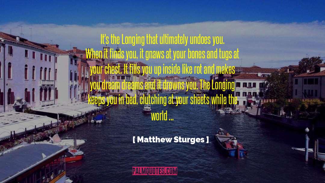 Matthew Sturges Quotes: It's the Longing that ultimately
