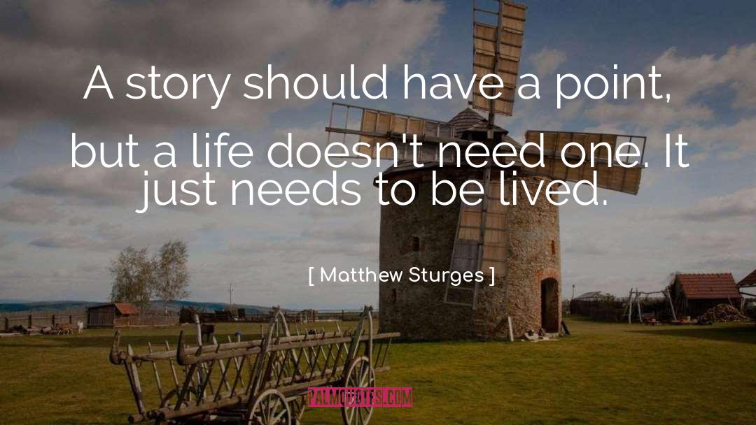 Matthew Sturges Quotes: A story should have a