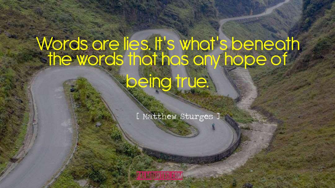 Matthew Sturges Quotes: Words are lies. It's what's