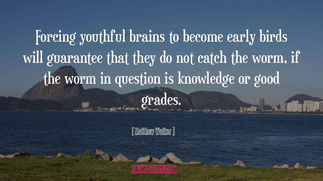 Matthew Walker Quotes: Forcing youthful brains to become