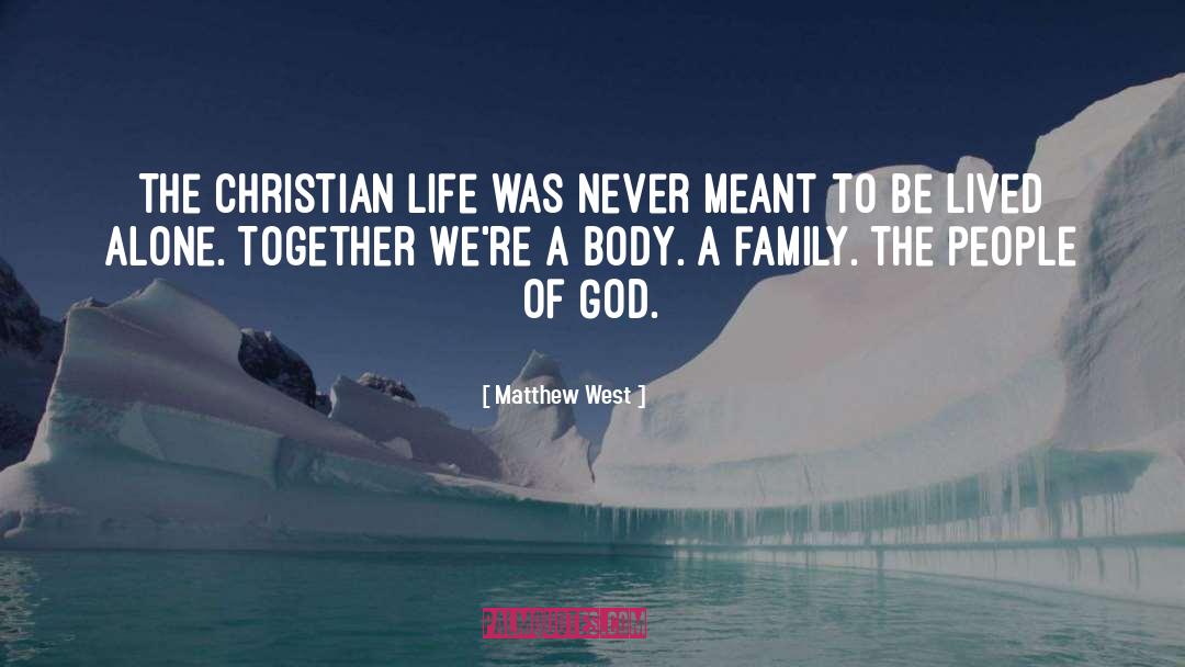 Matthew West Quotes: The Christian life was never