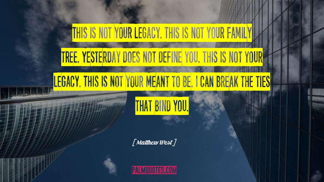 Matthew West Quotes: This is not your legacy.