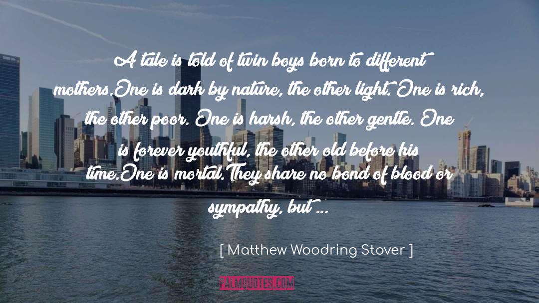 Matthew Woodring Stover Quotes: A tale is told of