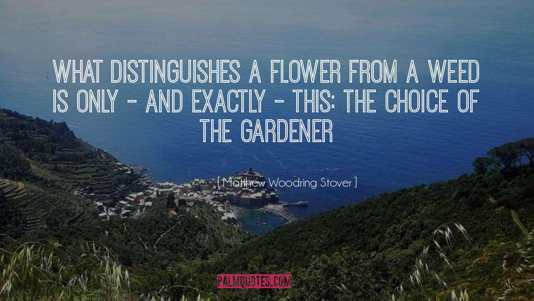 Matthew Woodring Stover Quotes: What distinguishes a flower from
