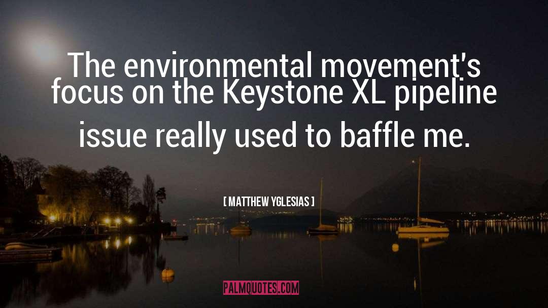 Matthew Yglesias Quotes: The environmental movement's focus on