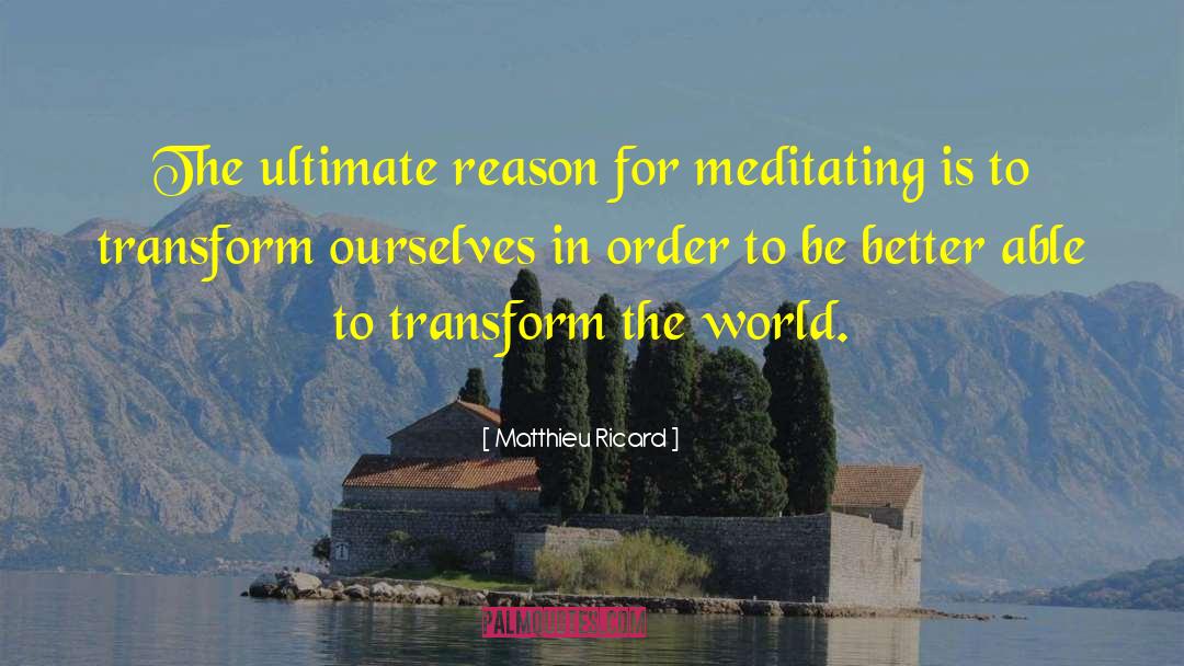 Matthieu Ricard Quotes: The ultimate reason for meditating