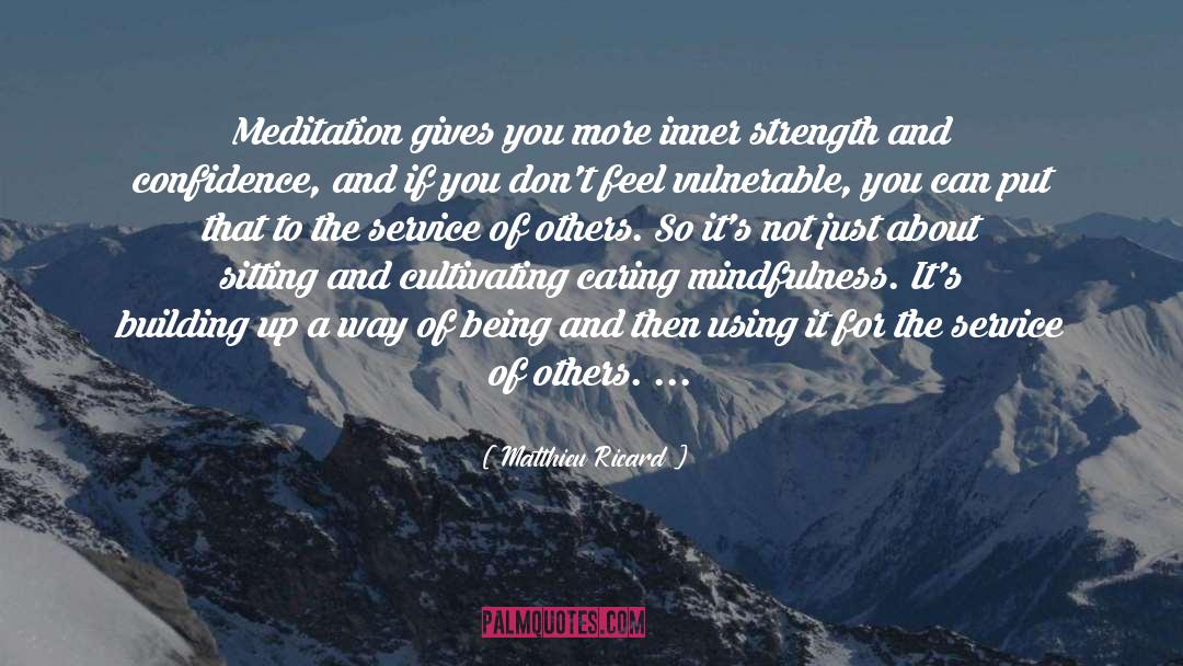 Matthieu Ricard Quotes: Meditation gives you more inner