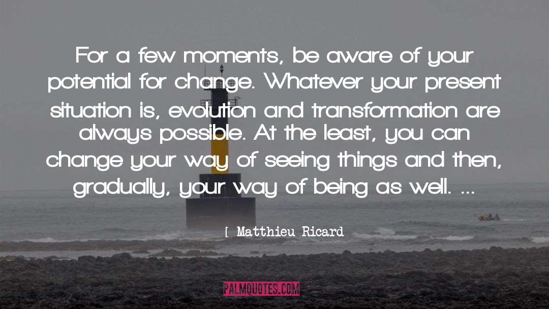 Matthieu Ricard Quotes: For a few moments, be