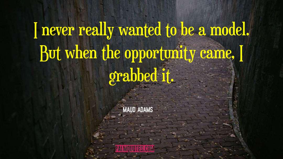 Maud Adams Quotes: I never really wanted to