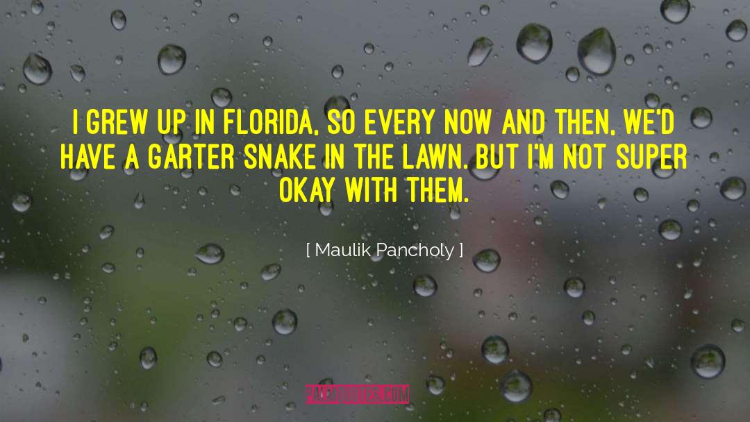 Maulik Pancholy Quotes: I grew up in Florida,