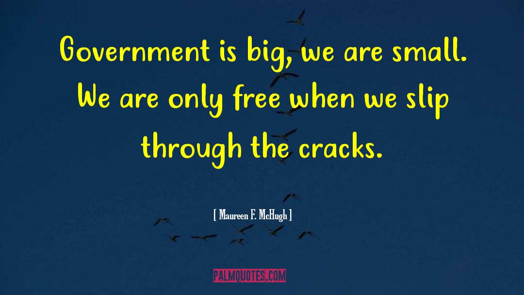 Maureen F. McHugh Quotes: Government is big, we are