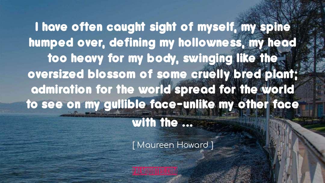 Maureen Howard Quotes: I have often caught sight