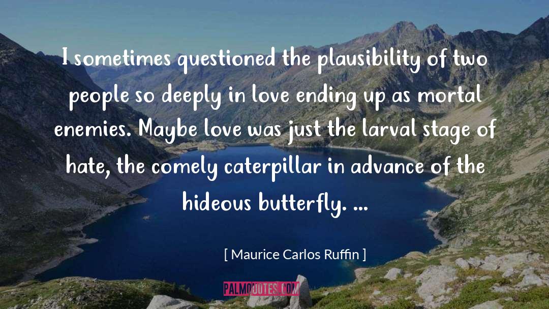 Maurice Carlos Ruffin Quotes: I sometimes questioned the plausibility