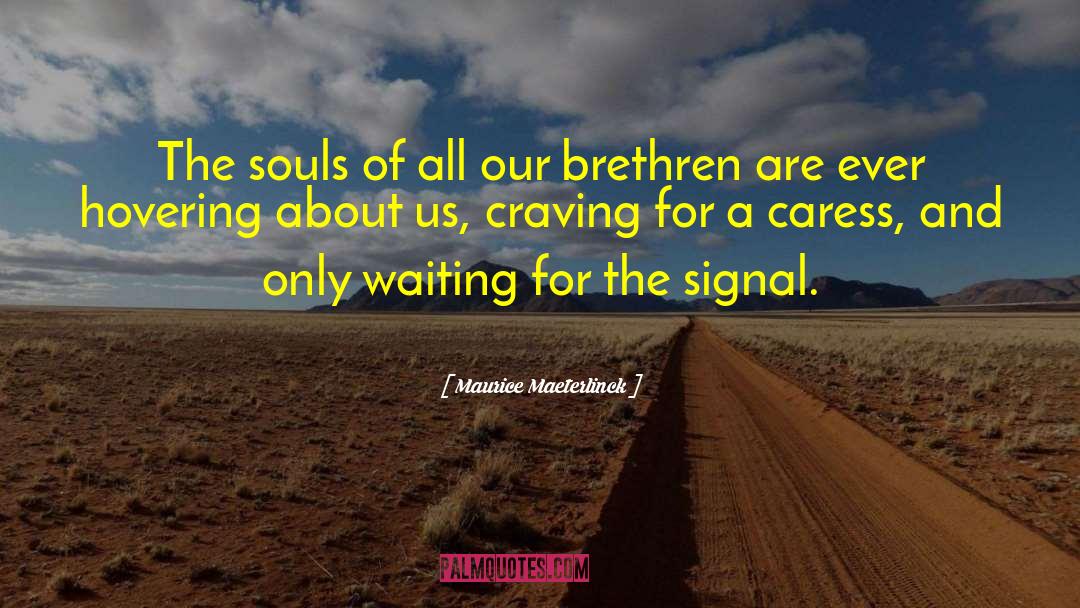 Maurice Maeterlinck Quotes: The souls of all our
