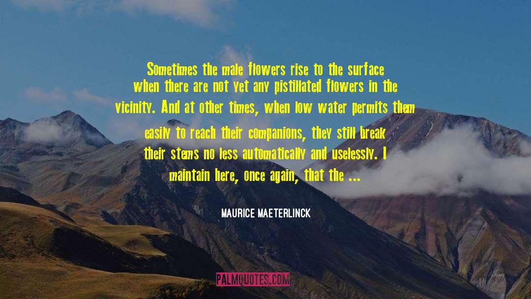 Maurice Maeterlinck Quotes: Sometimes the male flowers rise