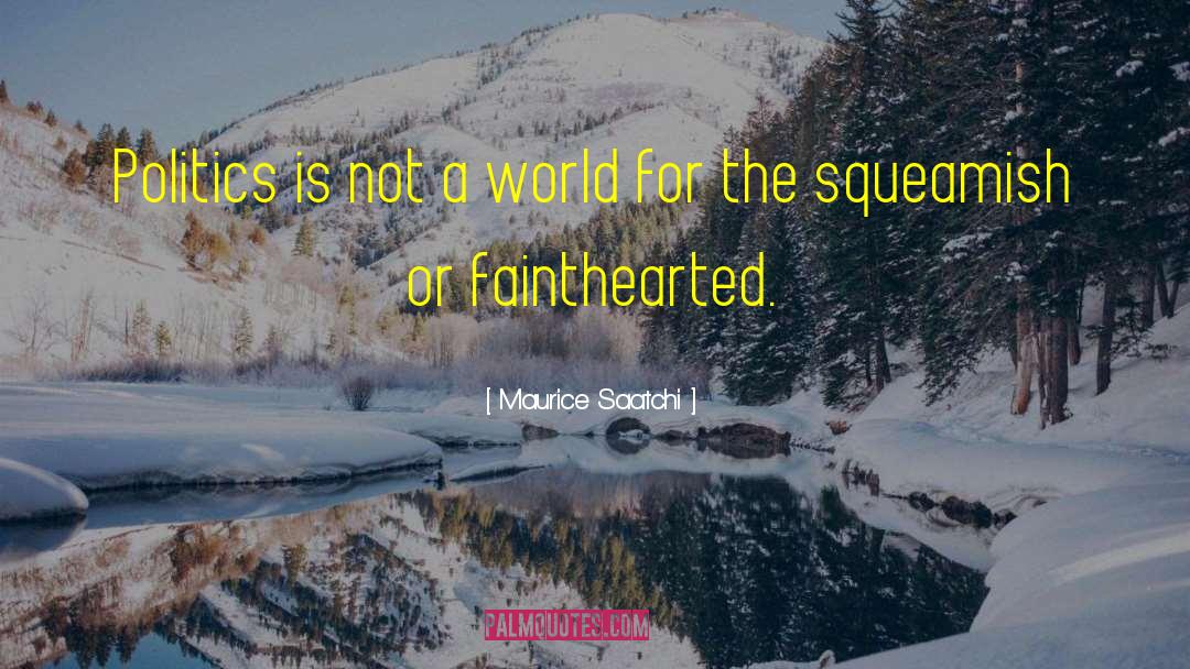 Maurice Saatchi Quotes: Politics is not a world