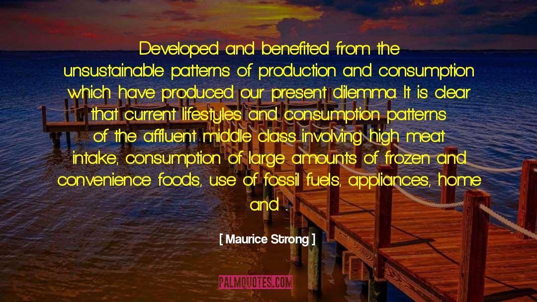 Maurice Strong Quotes: Developed and benefited from the