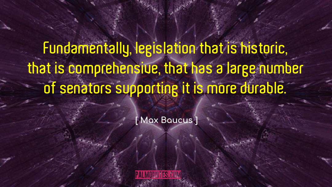 Max Baucus Quotes: Fundamentally, legislation that is historic,