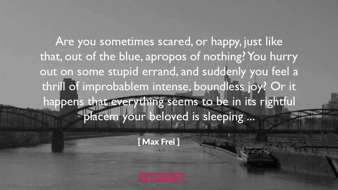Max Frei Quotes: Are you sometimes scared, or