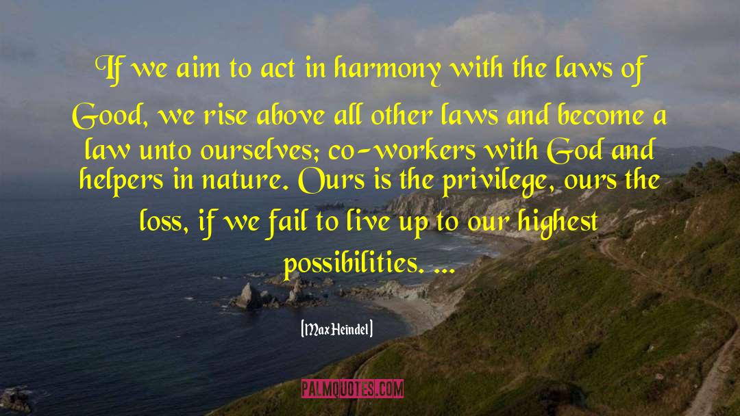 Max Heindel Quotes: If we aim to act