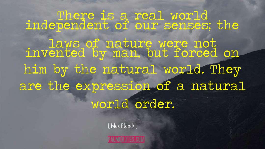 Max Planck Quotes: There is a real world
