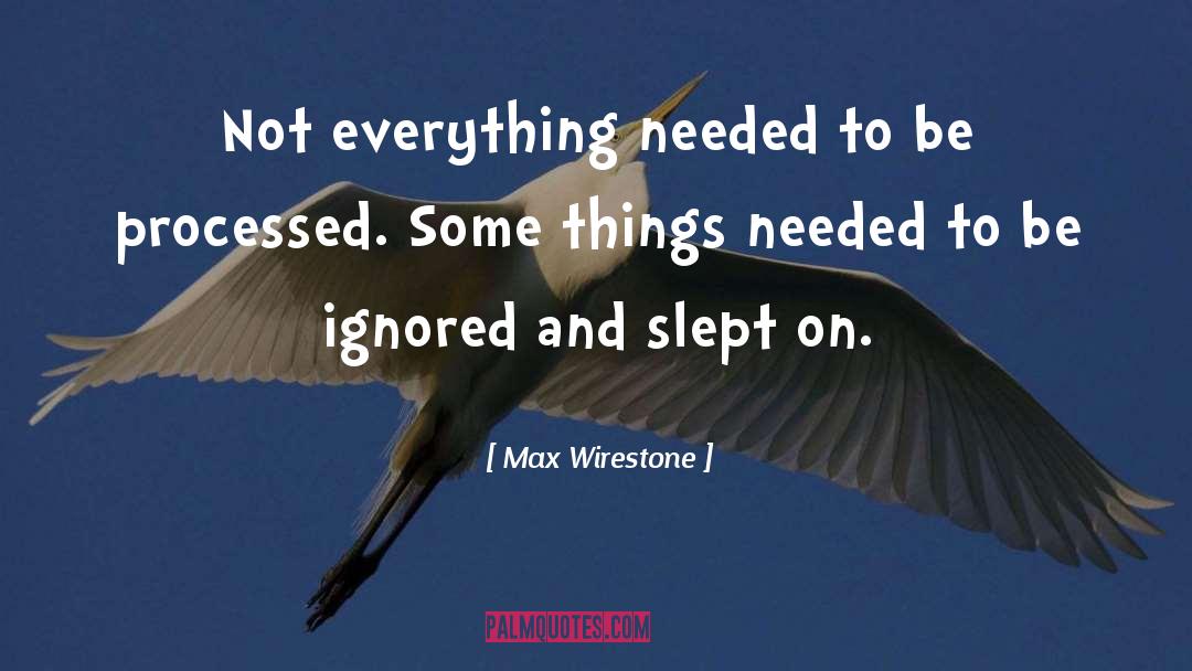 Max Wirestone Quotes: Not everything needed to be