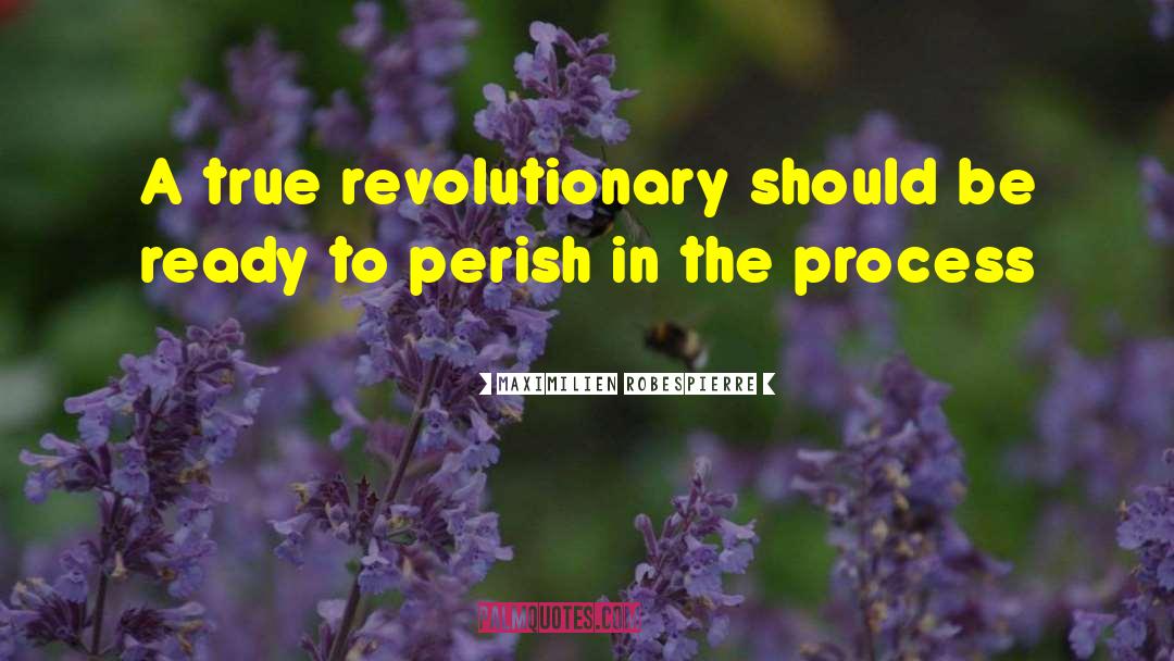 Maximilien Robespierre Quotes: A true revolutionary should be