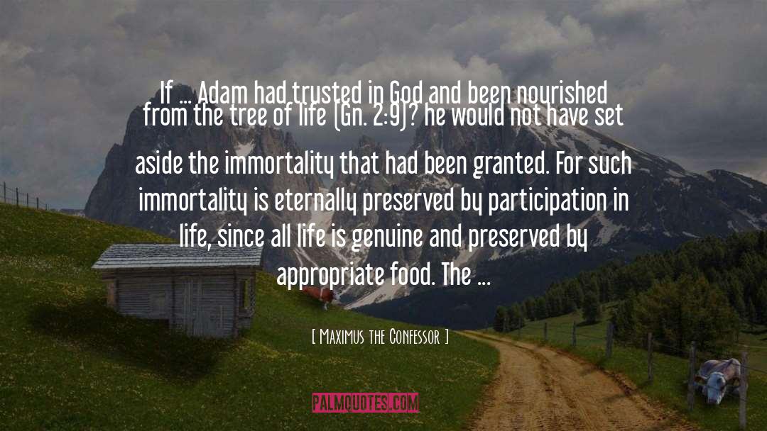 Maximus The Confessor Quotes: If ... Adam had trusted