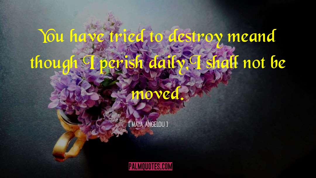 Maya Angelou Quotes: You have tried to destroy