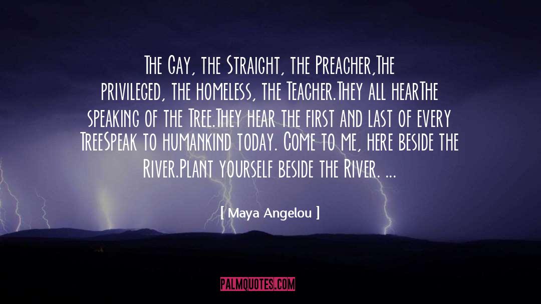 Maya Angelou Quotes: The Gay, the Straight, the