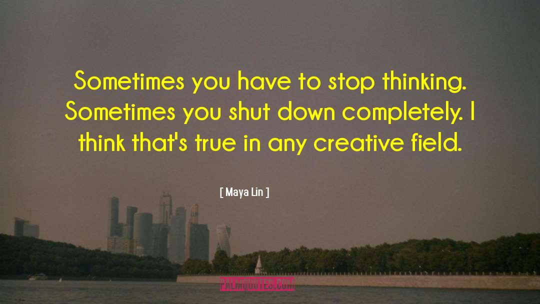 Maya Lin Quotes: Sometimes you have to stop