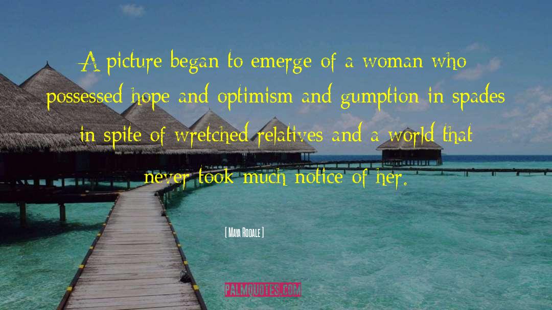 Maya Rodale Quotes: A picture began to emerge