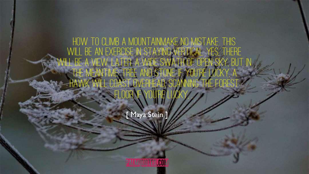 Maya Stein Quotes: How to Climb a Mountain<br