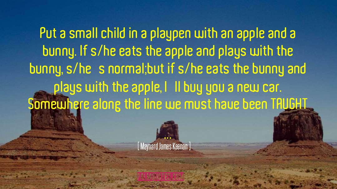 Maynard James Keenan Quotes: Put a small child in