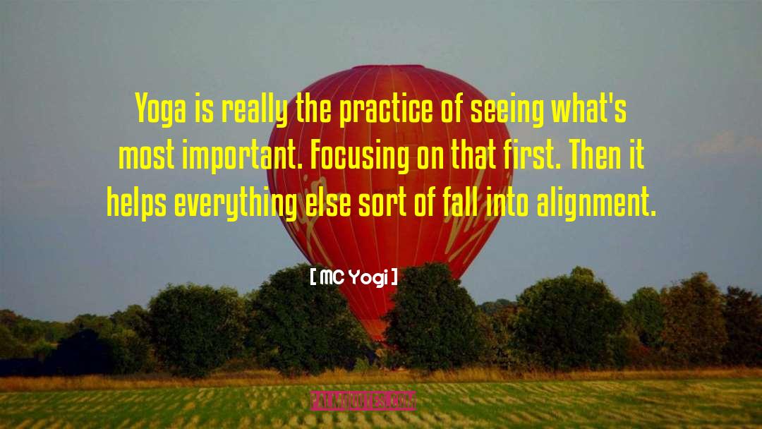 MC Yogi Quotes: Yoga is really the practice