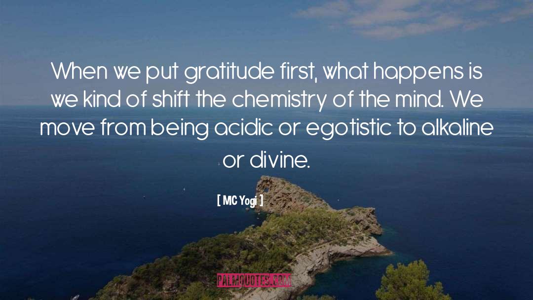 MC Yogi Quotes: When we put gratitude first,