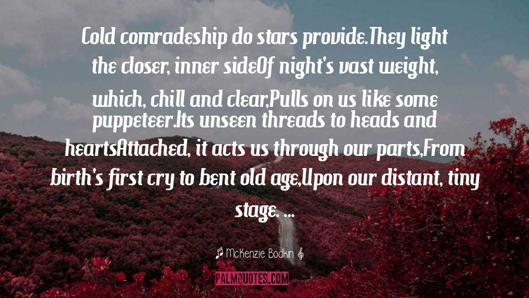 McKenzie Bodkin Quotes: Cold comradeship do stars provide.<br>They