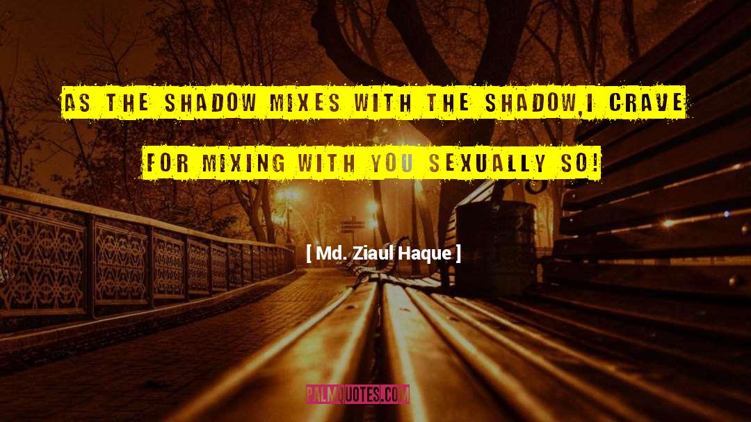 Md. Ziaul Haque Quotes: As the shadow mixes with