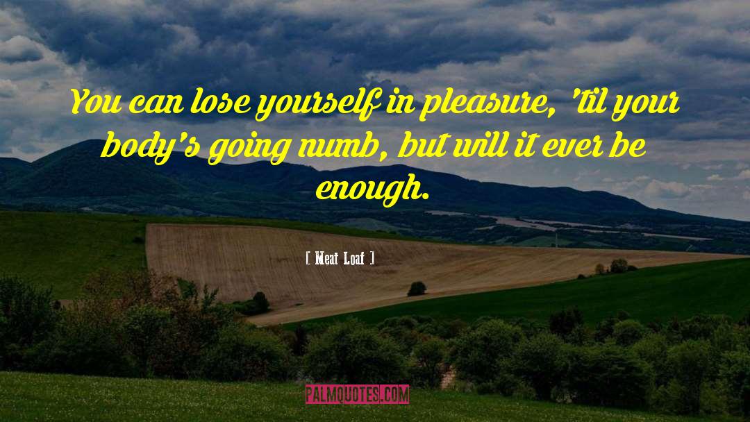 Meat Loaf Quotes: You can lose yourself in