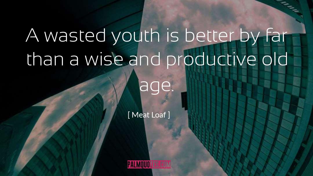 Meat Loaf Quotes: A wasted youth is better