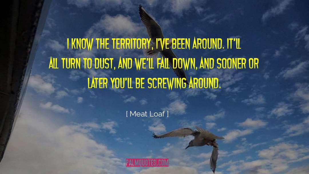 Meat Loaf Quotes: I know the territory, I've